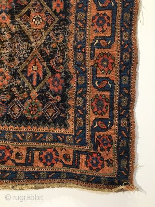 Bidjar Rug.  Late 19th Century.  Good condition.  7 colors including purple.  72 x 46.  Clean and hand washed.          