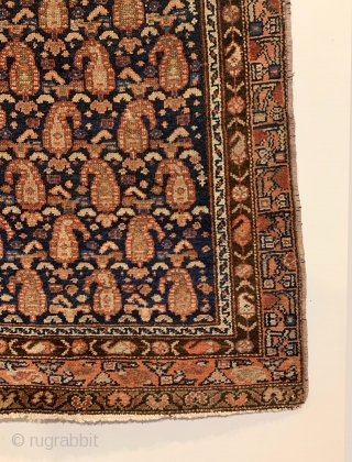 Antique Kurdish Long Rug. Glowing botehs dance to the left and right on a deep indigo blue field. The weaver and family appear on the leftest part of field. Original condition with  ...