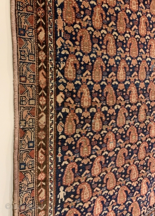 Antique Kurdish Long Rug. Glowing botehs dance to the left and right on a deep indigo blue field. The weaver and family appear on the leftest part of field. Original condition with  ...