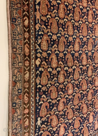 Antique Kurdish Long Rug. Glowing botehs dance to the left and right on a deep indigo blue field. The weaver and family appear on the leftest part of field. Original condition with  ...