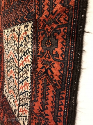 Antique Baluch Rug. Sangtschuli Tribe - Northwest Afghanistan. Bird tree main border frames a window viewing a forest. Flat-woven ends contain five horizontal stripes. Finely woven with soft, lustrous wool. Mint condition.  ...