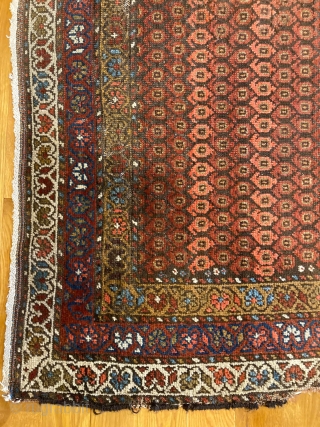 6'3" x 4'4" Veramin Boteh Rug [075]

An antique Veramin Boteh rug. This piece features a triple flower and vine pattern that meanders the borders. Royal colors are found on a chocolate brown  ...