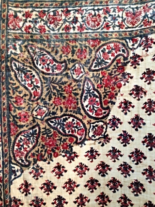 Antique 19th century indian or persian kalamkare...Very rare to find this kind of kalamkare....Both side is same block print.

Condition is both side of frills are not there and two or three small  ...