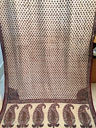 Antique 19th century indian or persian kalamkare...Very rare to find this kind of kalamkare....Both side is same block print.

Condition is both side of frills are not there and two or three small  ...