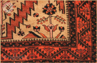 TR1132
Antique Baluch rug natural dyed wool on wool foundation
Very good condition
Size : 1.74m x 1.17m  5`9" x 3`10"              