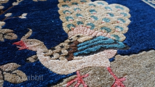 Tibetan Phoenix Peacock Birds Antique Oriental Rug, size is 3'3" x 5'9" ft. shiny wool and wonderful colors.               