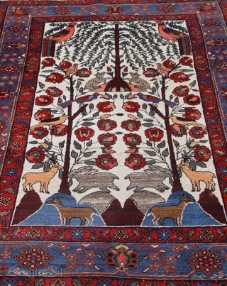 Antique Persian Bakhtiari rug, tree of life, size 4'3" X 6', circa 1920

                    