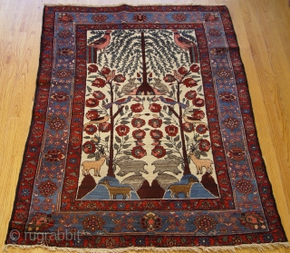 Antique Persian Bakhtiari rug, tree of life, size 4'3" X 6', circa 1920

                    