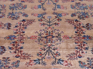 Antique Persian rug Bijar , 9'2" x 12'2" circa 1860, 100% wool pile and warp and weft , very good condition , no repairs,  no touch up, no odor, has been  ...