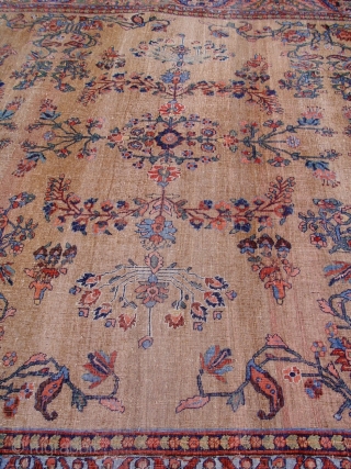 Antique Persian rug Bijar , 9'2" x 12'2" circa 1860, 100% wool pile and warp and weft , very good condition , no repairs,  no touch up, no odor, has been  ...