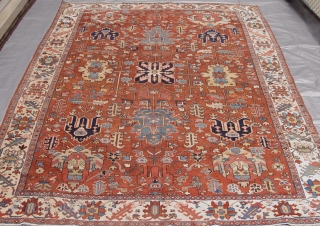 Antique Persian Heriz Serapi rug, circa 1880-1900 , 8'2" x 11'4"ft. great condition.                    