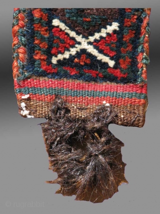 Baluch Pile Animal Band/Trapping, SE Persia, 19th Century

Among the Baluch of the Sistan region of SE Persia, one finds a number of eccentric weavings, including animal trappings of various types, as well  ...