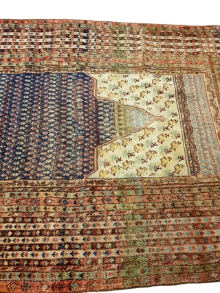 Unusual Antique Ghiordes Rug - 19th Century (227x138cm)


WhatsApp: +32465752377
E-mail: timeless.rugz@gmail.com                       