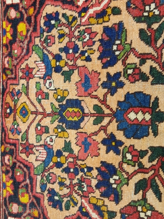 Bakhtiari Rug - Ca.1940
200x145cm                             