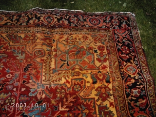 A "problem" heriz dating from pre-WW2 (previous owners thought 1920's but all that pink says 1930-1940 to me). I have washed it twice on the lawn (lacking access to an affordable rug  ...