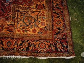 A "problem" heriz dating from pre-WW2 (previous owners thought 1920's but all that pink says 1930-1940 to me). I have washed it twice on the lawn (lacking access to an affordable rug  ...