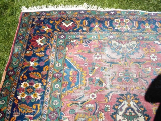 RESCUE THIS RUG so I don't chop it up into pillows! Offered is this TABRIZ - looking rug from a Cheyenne Wyoming estate, (when I look closely at the weave, I wonder  ...