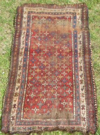 Unusual Persian tribal rug, mid-19th century. 47 x 82. Not sure of origin, possibly Khamseh region  Shawsavan. All natural colors. With visible wear. Great border design with birds.    