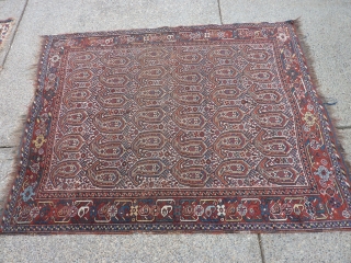 Antique botah rug 80" x62"  Probably from the Khamseh group.  Reasonably presentable thin/low-pile with a couple of small holes and wear spots--         