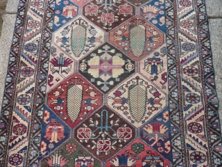 Strange old Bakhtiari garden rug with very funky transitional dyes: 54" x 80"

SOLD.                    