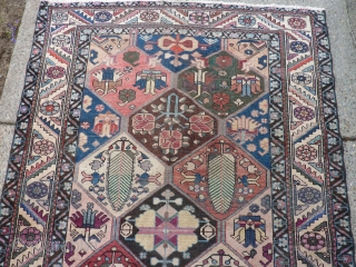 Strange old Bakhtiari garden rug with very funky transitional dyes: 54" x 80"

SOLD.                    