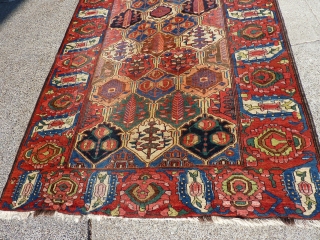 Archaic Bakhtiari 5'8 x 10' recently cleaned and blocked flat by Rbt. Mann.  Suitable as a floor rug for the right collector.  Wide range of colors and patterns which are  ...