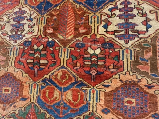 Archaic Bakhtiari 5'8 x 10' recently cleaned and blocked flat by Rbt. Mann.  Suitable as a floor rug for the right collector.  Wide range of colors and patterns which are  ...