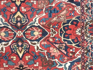 Last quarter 19th C. Bakhtiari 58" x 82"  Unusual archaic pattern.  Good even pile with three or four minor field defects (more pictures available on request.  $695 shipping within  ...