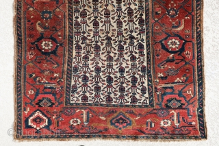 Very interesting, antique Persian Malayer? rug most probably from last quarter of 19th century. It has ivory field color with a very large border. There are some small repiiling areas at the  ...