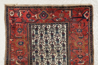 Very interesting, antique Persian Malayer? rug most probably from last quarter of 19th century. It has ivory field color with a very large border. There are some small repiiling areas at the  ...