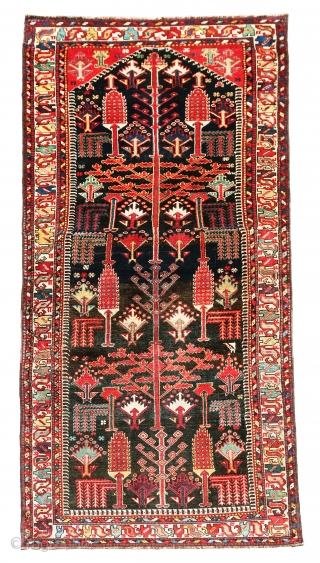 Extremely gorgeous, antique and colorful Bakhtiari rug, it is a very old piece. Colors are all natural including aubergine at the field and borders. there are some small repairs at the field  ...