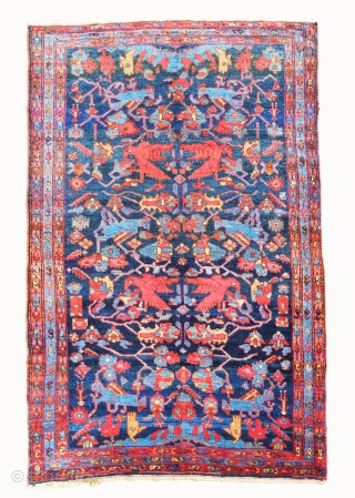 Unique, antique, full pile and color full Persian Malayer rug in good condition. The design is extremely gorgeous and color combinations are unique [color replacement?]. All colors are natural, some small repilling  ...