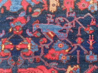 Unique, antique, full pile and color full Persian Malayer rug in good condition. The design is extremely gorgeous and color combinations are unique [color replacement?]. All colors are natural, some small repilling  ...