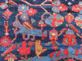 Unique, antique, full pile and color full Persian Malayer rug in good condition. The design is extremely gorgeous and color combinations are unique [color replacement?]. All colors are natural, some small repilling  ...