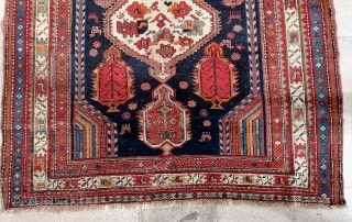 Antique Shikli Kazak rugs                             