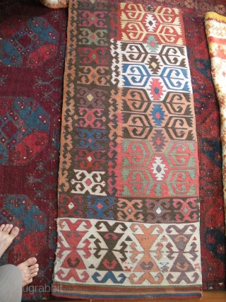 early anatolian large kilim panel...  i think konya...  early to mid 19th century...  2'3 x 10'8...  out of the private collection of one of the founders of the  ...