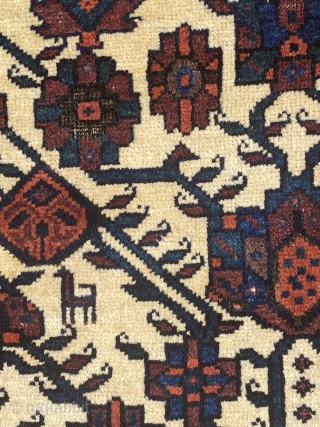 Beautiful Baluch rug 19th century full pile, size is 183 x 113 cm                    