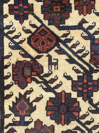 Beautiful Baluch rug 19th century full pile, size is 183 x 113 cm                    