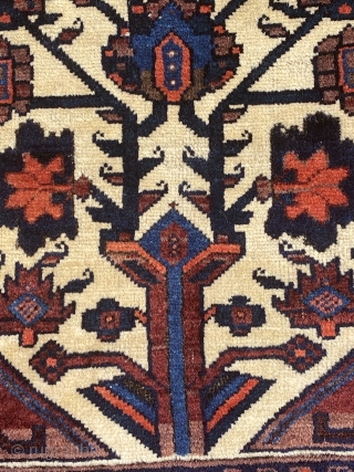 Beautiful Baluch rug 19th century full pile, size is 183 x 113 cm                    