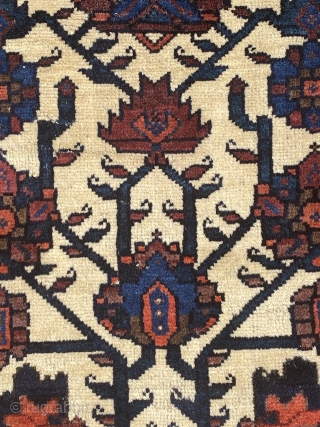 Beautiful Baluch rug 19th century full pile, size is 183 x 113 cm                    