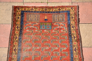 Kurdish rug 19th century
226 x 123 cm                          