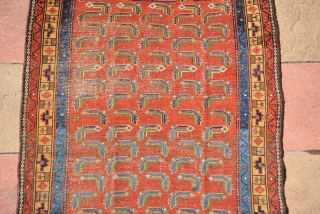 Kurdish rug 19th century
226 x 123 cm                          