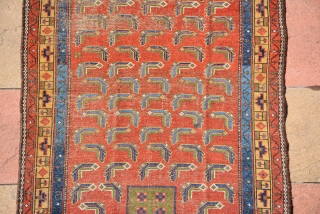 Kurdish rug 19th century
226 x 123 cm                          