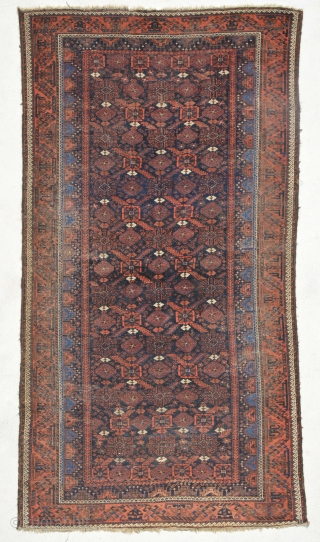 Antique Baluch large size 292 x 157 cm low pile but beautiful, 2nd picture has the better image               