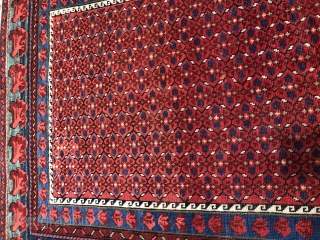 Old Caucasian(posibly from zeyhur)Handwoven woolen rug its about 100 years old!! Perfect condition!! Its 197cm.x121 cm. 

Any Question Please don’t hesitate to ask questions!!         