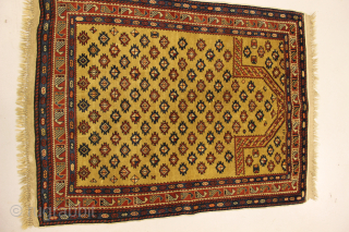 Shirvan Prayer Rug,Silk Wefted.                             