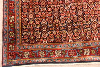 Bidjar rug.Persien.perfect161x114cm
5,2x3,7feet                               