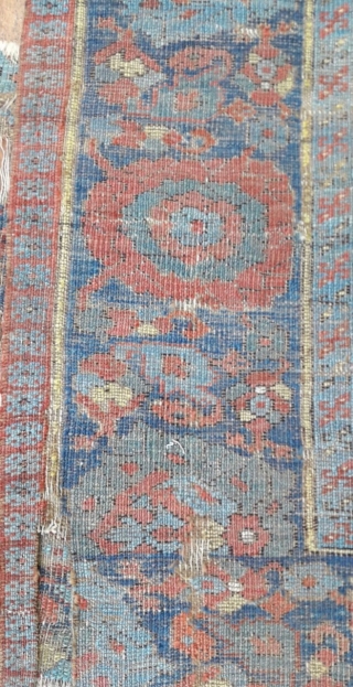 Anatolian Usak Fragment cm 2.36 x 2.00     1800  circa                   
