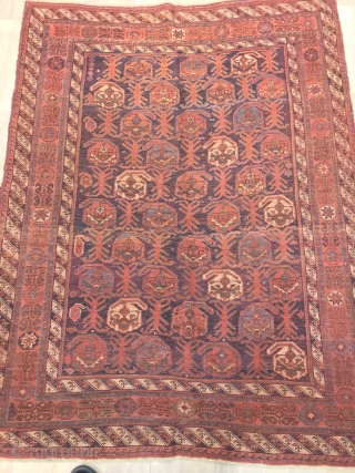 antique afshar South Persia  cm 1.50 x 1.14 19th centruy  1860/80 circa good  condition                