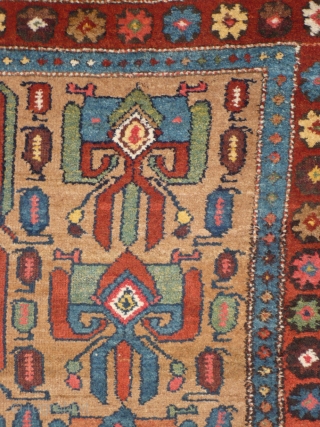 902 Rare Kurdish village rug with a never before seen design, 125/181 cm, Northwest Persia, 19th century, good condition, fantastic natural colours on a camel hair field, no comparable piece known!
For more  ...